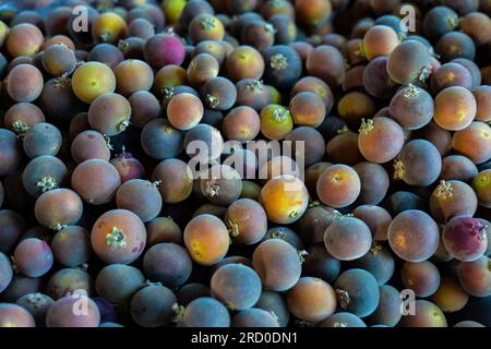 Ein Haufen reifer Ketembilla (Dovyalis hebecarpa) Sour Purple Fruit, auch als Ceylon Gooseberry Einheimischen in Sri Lanka und Indien auf einem Stand in Market 'Mayo Stockfoto