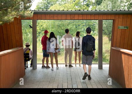 Besucher des Danziger Zoos an der gläsernen Aussichtsplattform für die Löwenhöhle in Oliwa, Danzig, Polen, Europa, EU Stockfoto