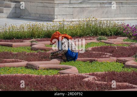 Agra, Indien – 12. April 2023. Ein Fernfoto einer Frau, die in Fort Agra, Indien, einen Garten unter der heißen Sonne jäte. Stockfoto