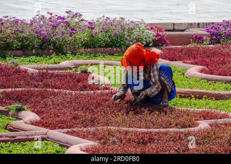 Agra, Indien – 12. April 2023. Ein Fernfoto von einer Frau, die einen Garten in Fort Agra, Indien, begräbt. Stockfoto