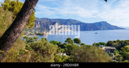 Atemberaubendes Panorama von Saint-Jean-Cap-Ferrat mit Villen und großen Pinien (F: Blick von der Villa Ephrussi de Rothschild (Richtung Monaco von Fre Stockfoto