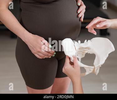 Doula erklärt den Geburtsvorgang an einer Probe des Beckens einer schwangeren Frau. Stockfoto