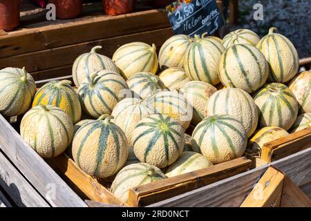 Melons Charentais, reife runde Charentais Honig Cantaloupe Melonen auf lokalem Markt in der Provence, Frankreich, aus nächster Nähe Stockfoto