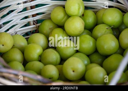 Grüne türkische Pflaume kann erik im Korb aus nächster Nähe sehen Stockfoto