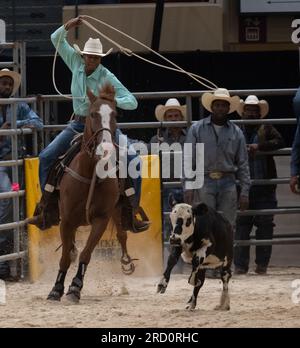 Upper Marlboro, Maryland, USA. 23. September 2022. AZIA BRYANT tritt während der Qualifikation für die Bill Pickett Invitational Rodeo Championships in der Show Place Arena in Upper Marlboro, MD, an der Ladies Break Away-Veranstaltung an. Das Rodeo-Finale ist Samstagabend. (Kreditbild: © Brian Branch Price/ZUMA Press Wire) NUR REDAKTIONELLE VERWENDUNG! Nicht für den kommerziellen GEBRAUCH! Stockfoto