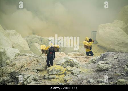 Schwefeltransport aus dem Schwefelbergbau, Mount Ijen, Java, Indonesien Stockfoto