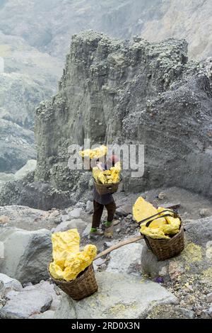 Schwefeltransport aus dem Schwefelbergbau, Mount Ijen, Java, Indonesien Stockfoto