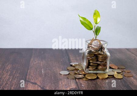 Ein Glasglas voller Euro-Münzen und ein grüner Sprossen Stockfoto