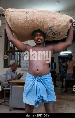 Der Handarbeiter trägt am frühen Morgen einen Sack Getreide durch die Seitenstraßen von Madurai, Tamil Nadu, Indien, Asien. Stockfoto