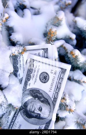Stapel von Spielgeld legt im Schnee begraben.  Kiefer-Äste Rahmen Stash. Stockfoto