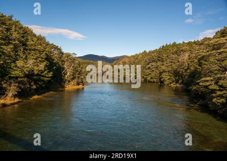 Der sehr abgelegene und isolierte South Mavora Lake, umgeben von üppigen, dichten einheimischen Wäldern im ländlichen Südland Neuseelands Stockfoto