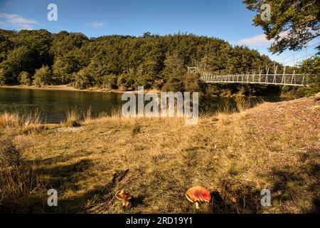 Der sehr abgelegene und isolierte South Mavora Lake, umgeben von üppigen, dichten einheimischen Wäldern im ländlichen Südland Neuseelands Stockfoto