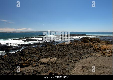 Phillip Island war vulkanisch in der fernen Vergangenheit, sodass es viele schwarze, felsige Küsten gibt, mit Felsenbecken, die man erkunden kann - wenn man sie erreichen kann! Stockfoto