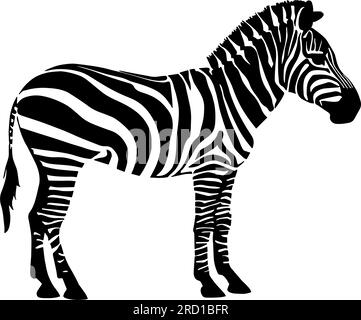 Zebrasilhouette isoliert auf weißem Hintergrund. Vektordarstellung Stock Vektor