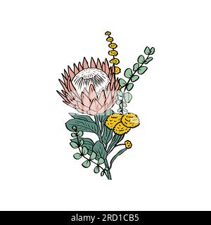 Farbenfrohe tropische protea-Blumen und Blattstrauß Stock Vektor