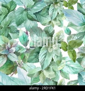 Aquarell Mint hinterlässt ein nahtloses Muster. Vektordarstellung Stock Vektor