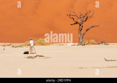 Sossusvlei, Namibia - 26. August 2016. Eine Fotografin macht Fotos von einem Skelettbaum und dünner Vegetation auf einer weißen Tonpfanne mit einem steilen Rot Stockfoto