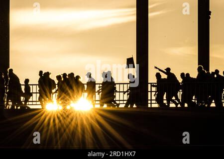 NIJMEGEN - Läufer gehen am ersten Tag der Nijmegen Four Days Marches über die Waal Bridge. ANP ROB ENGELAAR niederlande raus - belgien raus Stockfoto