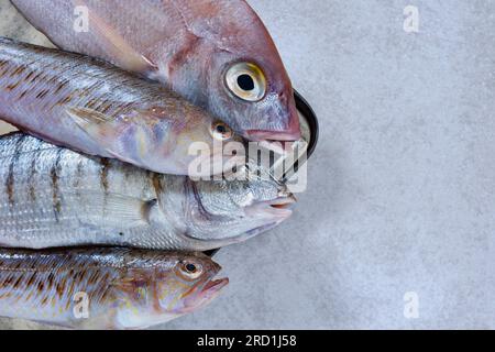 Ungekochter gewöhnlicher pandora-Fisch, gestreifte Meerbrasse und grüner Weever auf dem Tisch, mediterraner Fisch mit zartem Fleisch, Stockfoto