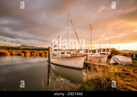 Geografie/Reise, Neuseeland, Waikato, Coromandel, Yacht im kleinen Hafen von Coromandel, ADDITIONAL-RIGHTS-CLEARANCE-INFO-NOT-AVAILABLE Stockfoto