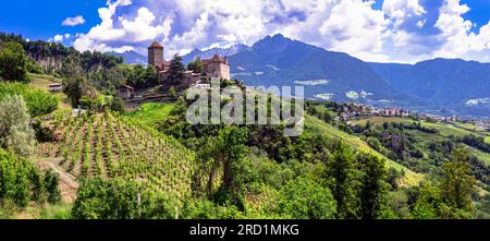 Mittelalterliche Burgen Italiens - majestätisches Schloss Tirolo in Merano. Umgeben von Alpenbergen und Weinbergen. Provinz Bozen, Italien Stockfoto