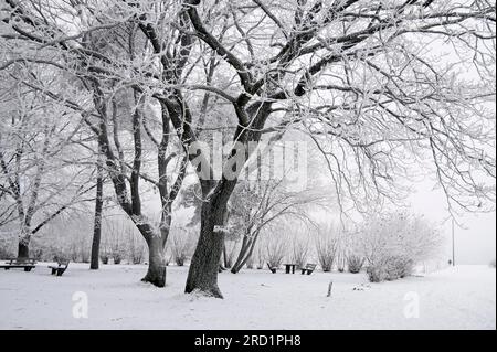 Geografie / Reise, Deutschland, Hessen, Niedernhausen, verschneiter Winterwald bei Engenhahn im Taunus, ZUSÄTZLICHE-RECHTE-FREIGABE-INFO-NICHT-VERFÜGBAR Stockfoto