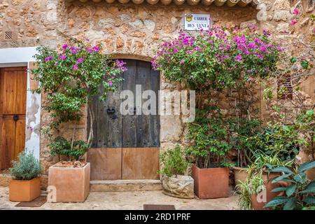 Geografie/Reise, Spanien, Mallorca, Fornalutx, Altstadtgasse im Dorf Fornalutx, Mallorca, ZUSÄTZLICHE-RECHTE-FREIGABE-INFO-NICHT-VERFÜGBAR Stockfoto