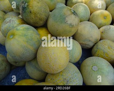 Ein Haufen süßer Melonen, die auf einem traditionellen Markt verkauft werden Stockfoto