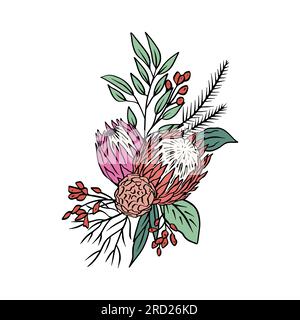 Farbenfrohe tropische protea-Blumen und Blattstrauß Stock Vektor