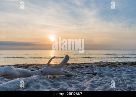 Die natürliche Schönheit Weststrands an der Westküste der Halbinsel Fischland-Darß-Zingst in Deutschland Stockfoto