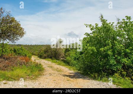 Die Frühlingslandschaft in der Nähe von Praznica auf der Insel Brac in Kroatien im Mai Stockfoto