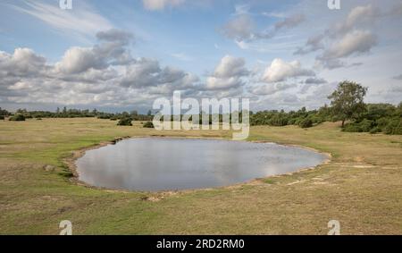 Ein offener Raum mit kleinem Teich, Gras und Tress Umgebung. Leichte, flauschige Wolken liegen in einem Himmel, der von Blau zu Grau über die Szene geht. Im Feld Neu Stockfoto