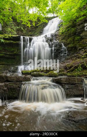 Scaleber Force Wasserfall, nahe Settle, Yorkshire Dales, England Stockfoto