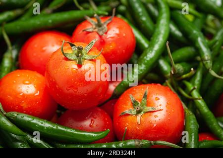 Nahaufnahme von frischer Tomate (Solanum lycopersicum ) und grünem Chili ( Capsicum annuum ) aus indischem Bio-Anbau Stockfoto