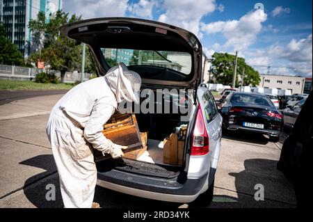 Berlin, Deutschland. 18. Juli 2023. Norman Linke City Imker, hebt Honigwaben in sein Auto an den Imkereianlagen im BVG-Depot in Lichtenberg. Die Bienen erzeugen bis zu 3.000 Gläser BVG-Honig pro Jahr. Kredit: Fabian Sommer/dpa/Alamy Live News Stockfoto