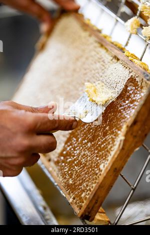 Berlin, Deutschland. 18. Juli 2023. Younes Kheir, städtischer Imker, bereitet Honigwaben für die Honiggewinnung in der Küche im BVG-Depot in Lichtenberg zu. Die Bienen erzeugen bis zu 3.000 Gläser BVG-Honig pro Jahr. Kredit: Fabian Sommer/dpa/Alamy Live News Stockfoto