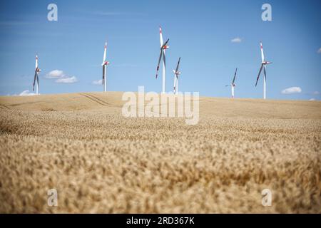 18. Juli 2023, Sachsen-Anhalt, Hohenmölsen: Windturbinen stehen hinter einem reifen Getreidefeld still. Foto: Jan Woitas/dpa Stockfoto