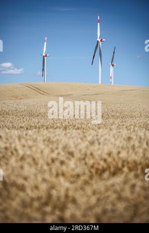 18. Juli 2023, Sachsen-Anhalt, Hohenmölsen: Windturbinen stehen hinter einem reifen Getreidefeld still. Foto: Jan Woitas/dpa Stockfoto