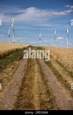 18. Juli 2023, Sachsen-Anhalt, Hohenmölsen: Windturbinen stehen hinter einem reifen Getreidefeld still. Foto: Jan Woitas/dpa Stockfoto