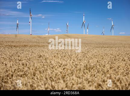 18. Juli 2023, Sachsen-Anhalt, Hohenmölsen: Windturbinen stehen hinter einem reifen Getreidefeld still. Foto: Jan Woitas/dpa Stockfoto