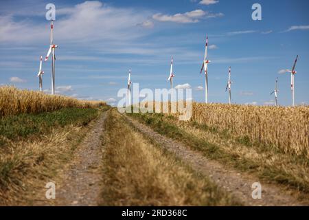 18. Juli 2023, Sachsen-Anhalt, Hohenmölsen: Windturbinen stehen hinter einem reifen Getreidefeld still. Foto: Jan Woitas/dpa Stockfoto