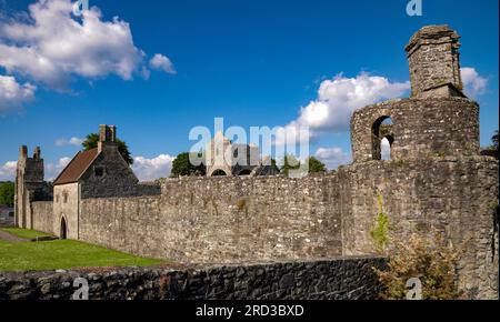 Boyle Abbey, County Roscommon, Irland Stockfoto