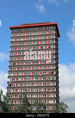 Der berühmte Divis Tower in West Belfast Stockfoto