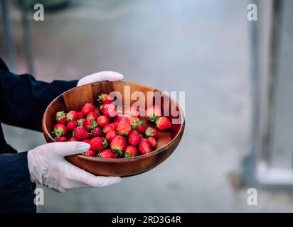 Eine revolutionäre und fortschrittliche automatisierte Erdbeerfarm für den Innenbereich bietet ganzjährig hohe Erträge. Regelt effizient Klima, Temperatur, Luftfeuchtigkeit, ein Stockfoto