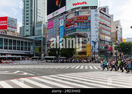 TOKIO, JAPAN - JUNI 21 2023: Touristenmassen und Fußgänger am berühmten Shibuya Scramble Crossing im Zentrum von Tokio. Stockfoto