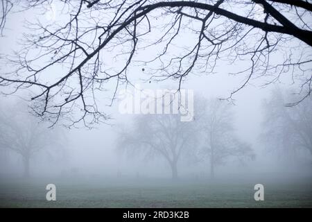 Ein dichter Nebel umhüllt einen Park in Ilford, East London, am Morgen. Stockfoto