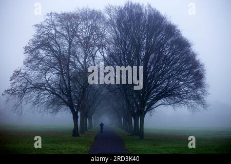 Ein dichter Nebel umhüllt einen Park in Ilford, East London, am Morgen. Stockfoto