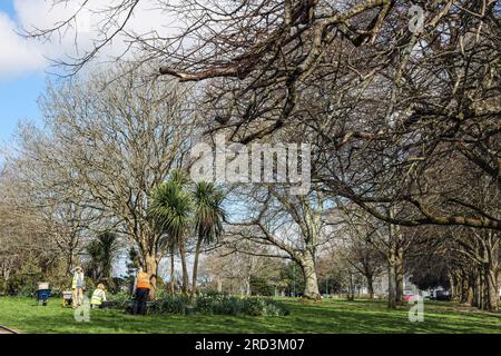 Der Devonport Park in Plymouth ist einer von acht Parks in der Stadt, die 2023 mit dem Green Flag Award ausgezeichnet wurden. Der nationale Maßstab für Qualitätsparks ist ru Stockfoto