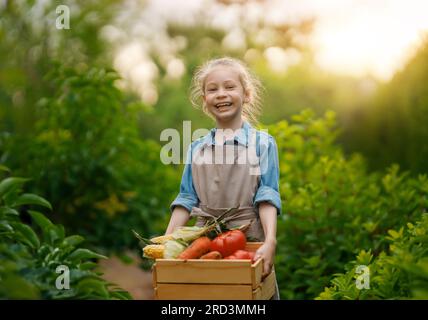 Ein glückliches kleines Bauernkind, das frisch gepflückte Produkte in einer Kiste auf einem Bio-Bauernhof arrangiert. Stockfoto