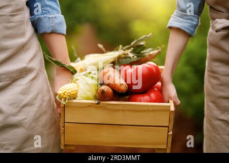 Bauernfamilie, die frisch gepflückte Produkte in einer Kiste auf einem Biobauernhof anbietet. Stockfoto